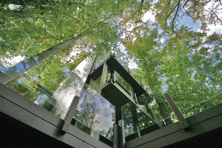 Travis Price designed a glassy, modern addition in a forest.