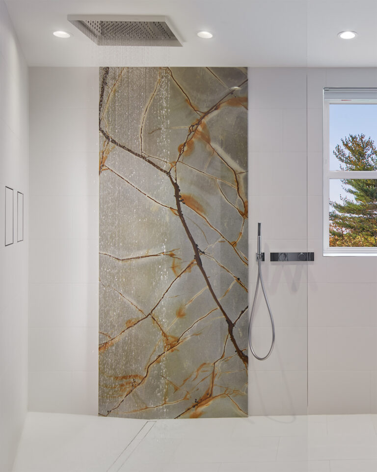 An eye-catching slab of veined quartzite pops in a shower enclosure.