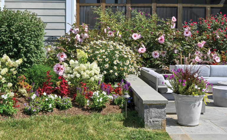 A vibrant assortment of flowering shrubs, perennials and annuals adds color and interest to a chic terrace.